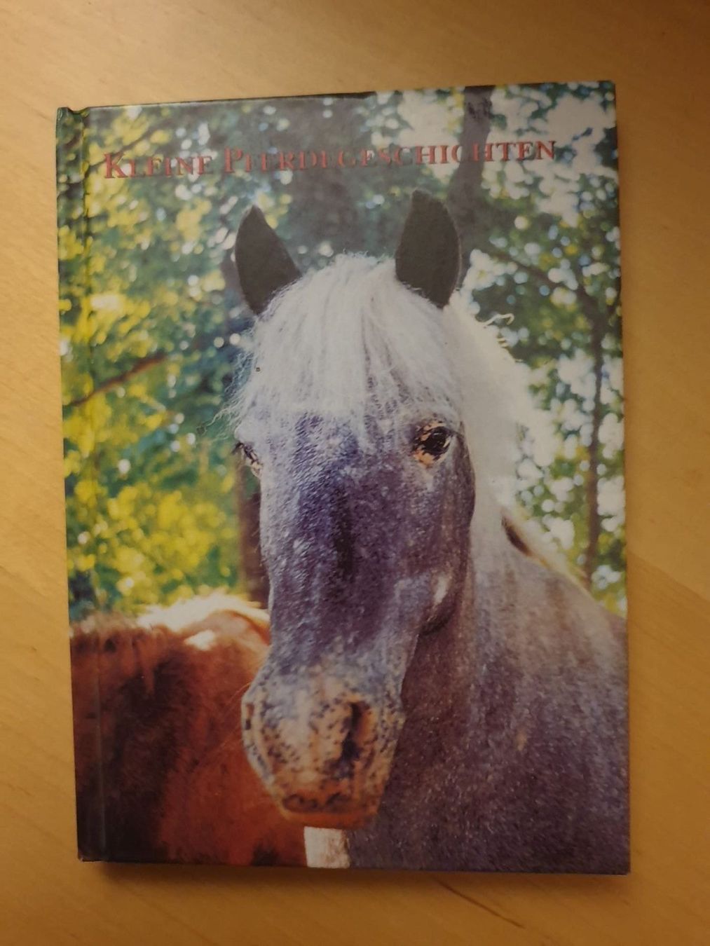 Libri: Kleine Pferdegeschichten – Usato da Langnau am Albis venduto da jer_pm72