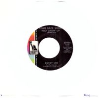 BOBBY VEE