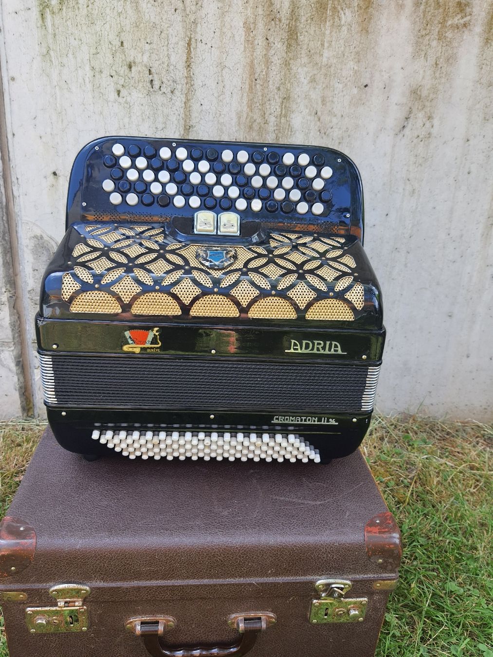 Adria Strumenti musicali: accordéon Adria chromatique  – Usato da Pont-de-la-Morge venduto da Mirabelle0