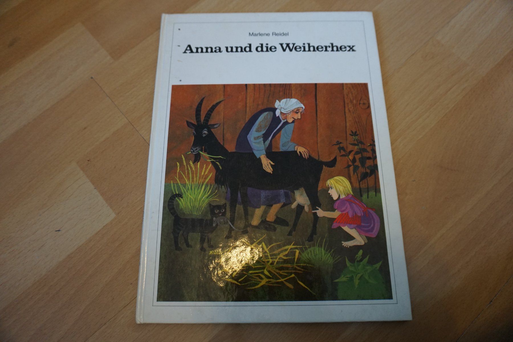 Libri: Bilderbuch Anna und die Weiherhex – Usato da Zürich venduto da einalemjena