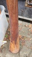 Authentisches Didgeridoo aus Holz – Handgefertigt mit Dot-Pa