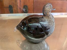 Vogel Glasvogel Jussis Glas