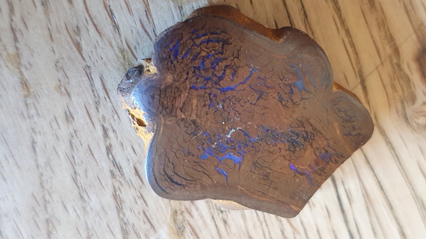 Fossili: Boulder Opal – Usato da Flawil venduto da Pinkmalibu 4