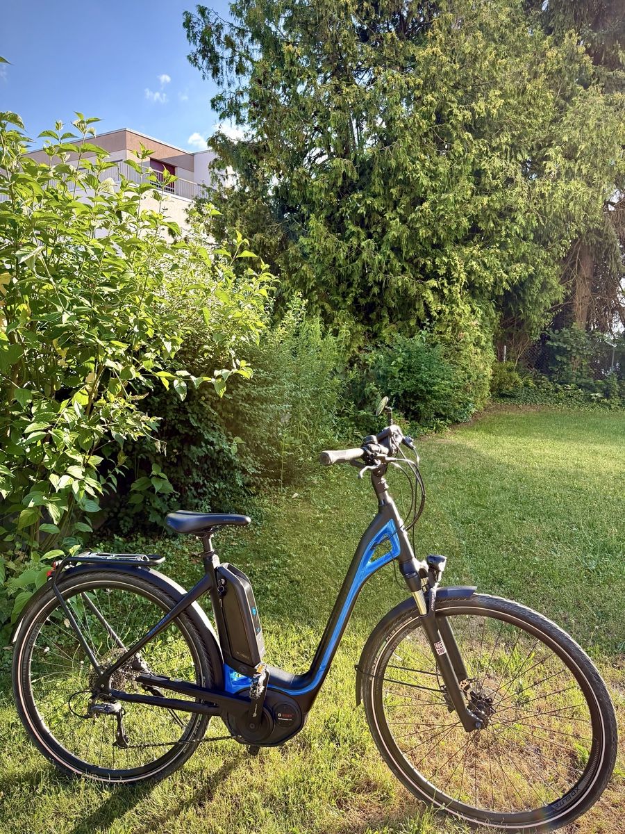 Bergamont Velos: Bergamont E-Bike 28 Zoll Bosch – Gebraucht aus Bern von ser_7vtn