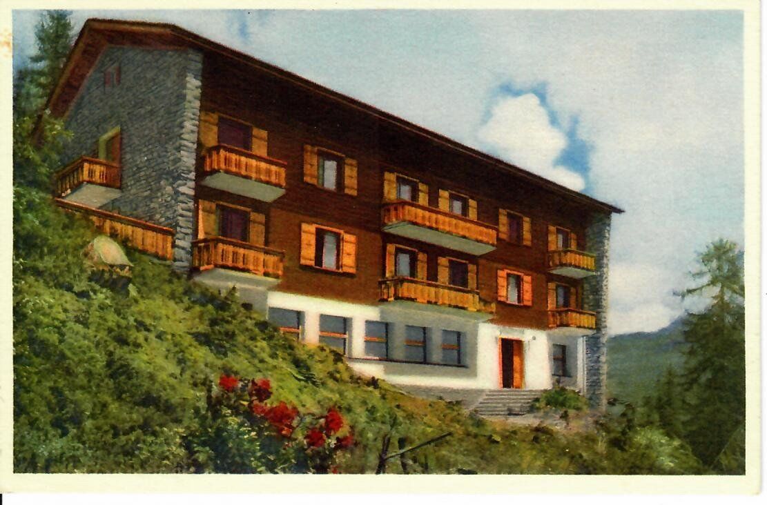 Cartes postales: Waldhotel Bettmeralp – D'occasion à Hochdorf par Ziegel-16