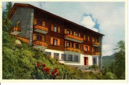 Waldhotel Bettmeralp