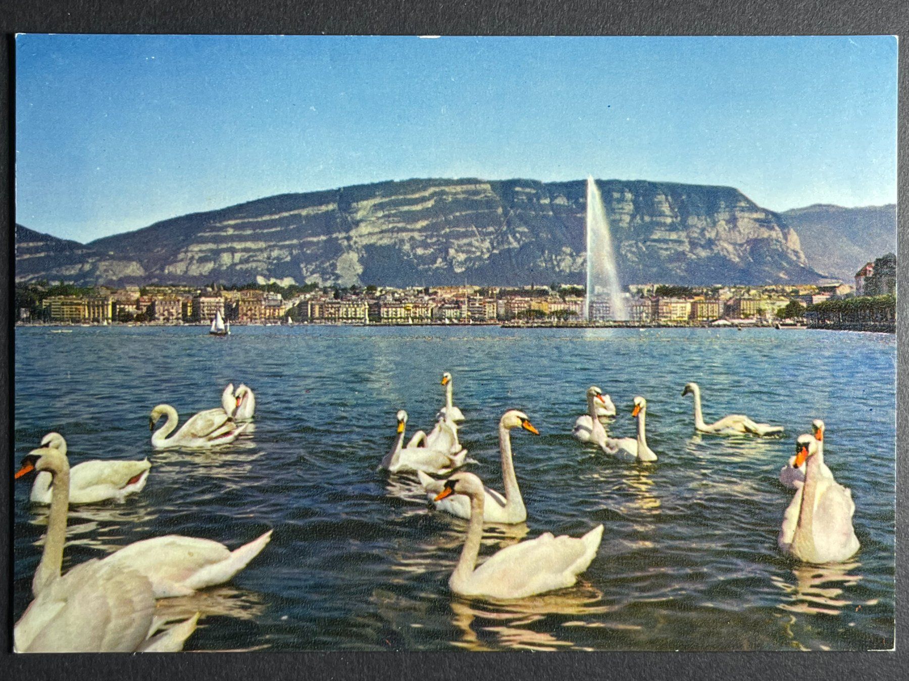 Cartes postales: Genf, Schwäne – D'occasion à Steg VS par _vinci_