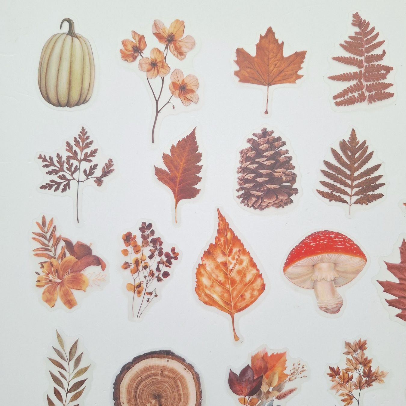 Sticker: 50 Aufkleber Sticker - Herbst – Nuovo e nell'imballaggio originale da Basel venduto da Kunterbunt12 2