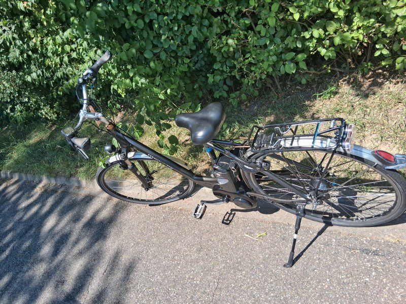 Flyer Velos: Titan Flyer E-City Bike – Defekt aus Hölstein von rabie01 3
