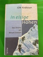 In eisige Höhen: Drama am Mount Everest (Buch)