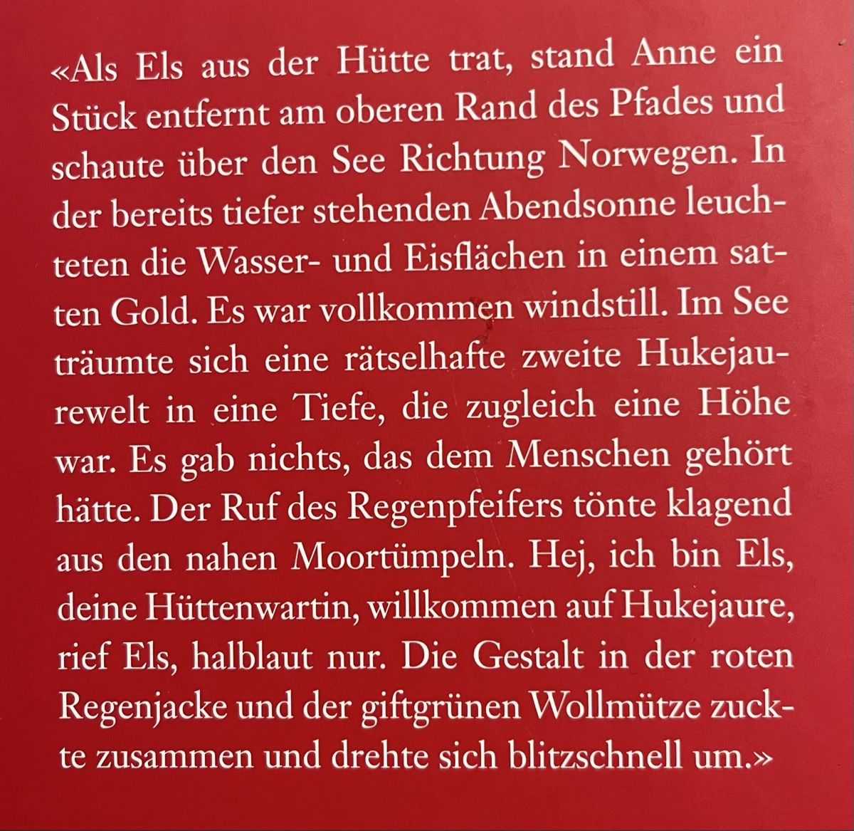 Libri: Els, Christine Fischer – Nuovo (secondo la descrizione) da Wittenbach venduto da sambuk 1