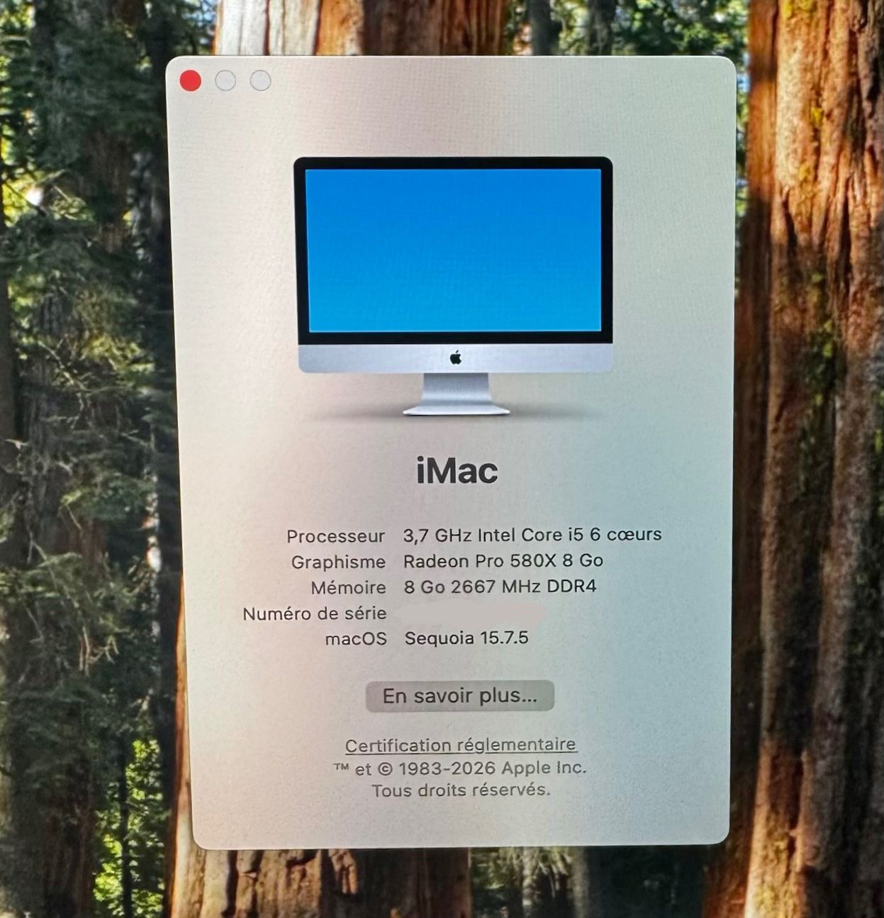 Apple PC: iMac 2019, Retina 5K 27", 2TB – Usato da Epalinges venduto da kel_8zql 4