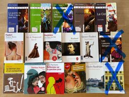 Lot de livre classique de la littérature française (14)