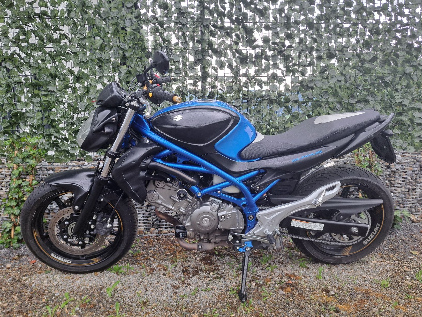 Suzuki Strada: Suzuki SFV 650 A – Usato da Hitzkirch venduto da miguman72 9