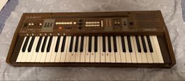 Casiotone 405 vintage Orgel