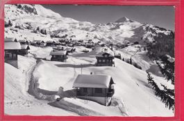 BETTMERALP, WURZENBORD, 27.12.1967