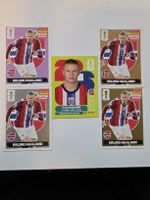 Panini extras stickers Erling Haaland lot de 5 cartes - Gold