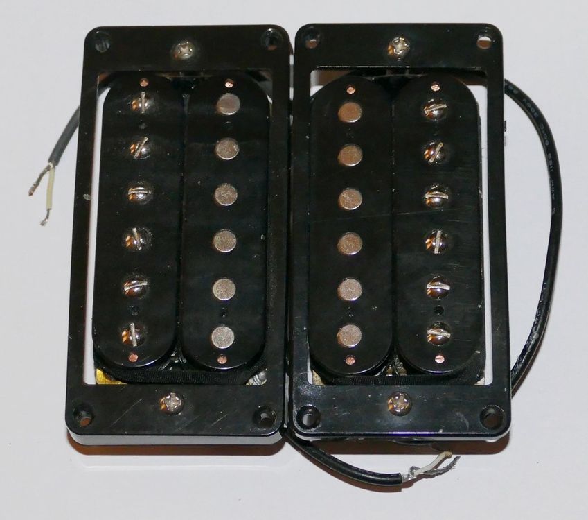 Forever URNS Katzen Urne In Schwarz - Hochglanz Emaille Für Haustierasche Größe M