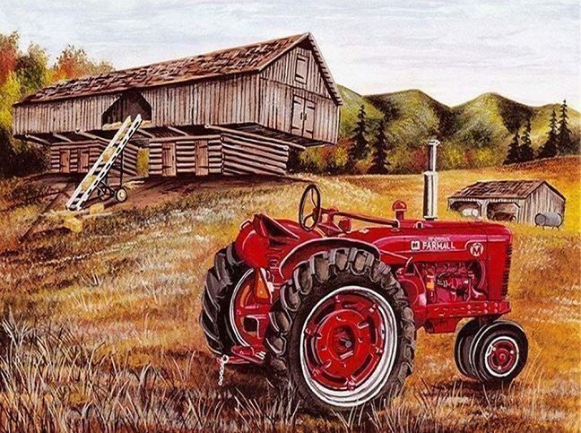 Kit bricolage: Diamond Painting Traktor – Nuovo e nell'imballaggio originale da Schlatt TG venduto da mavo85