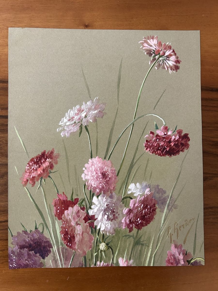 Posters & Illustrations: Blumen Bilder von B. Gender – D'occasion à Zürich par BashasBrockenhaus 5
