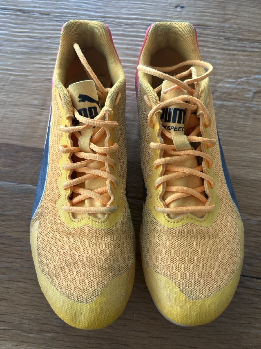 Puma Herrenschuhe: Nagelschuhe Grösse 37 Puma – Gebraucht aus Fischbach- Göslikon von Rommel