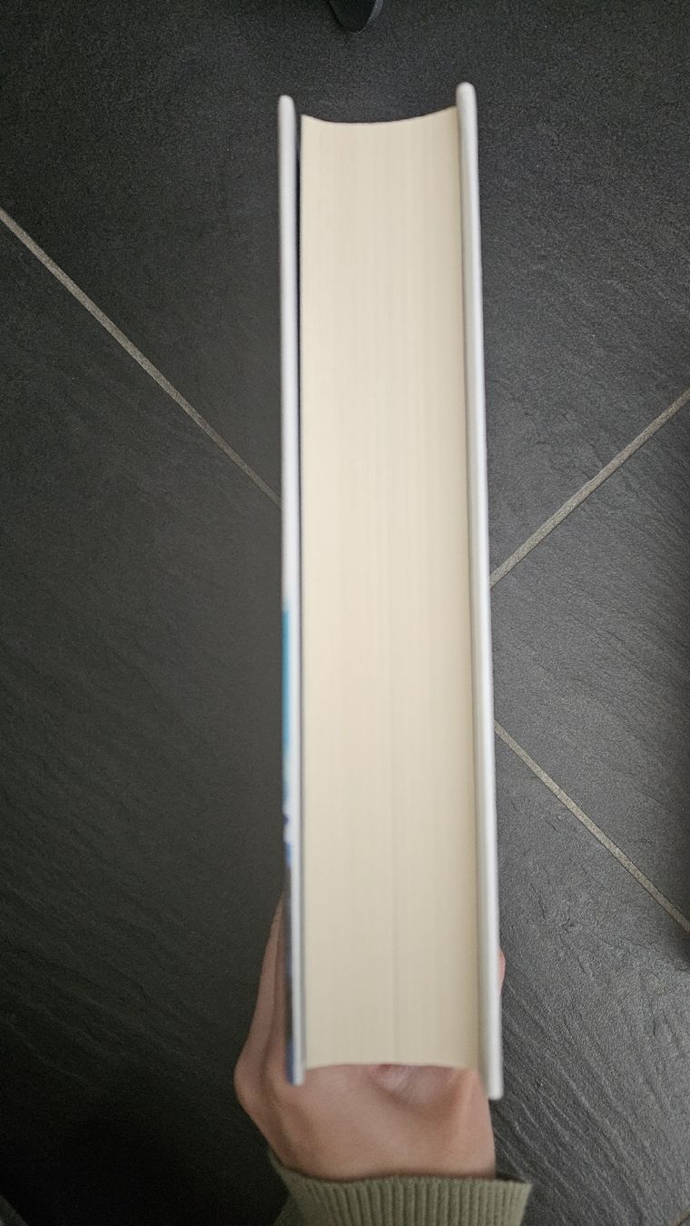 Libri: Fire & Frost: Band 1 – Nuovo (secondo la descrizione) da Hettlingen venduto da Leaena279 2