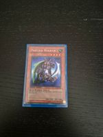 Yu-Gi-Oh - Panther Warrior (CT2-EN006)