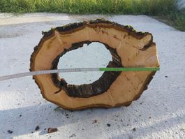 Nussbaum Holzscheibe Nr. 10 Dekoration