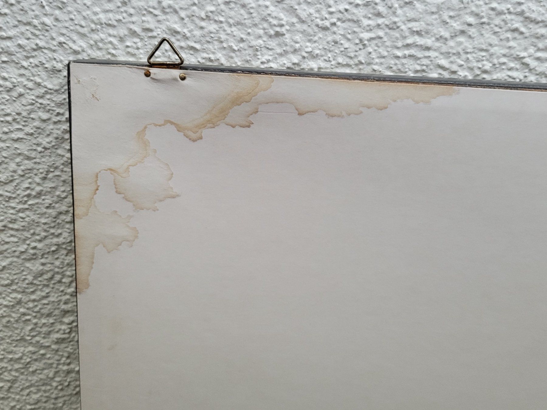 Foto & Immagini: Stammbaum Schneider Elm – Usato da Adligenswil venduto da Wimi1 6