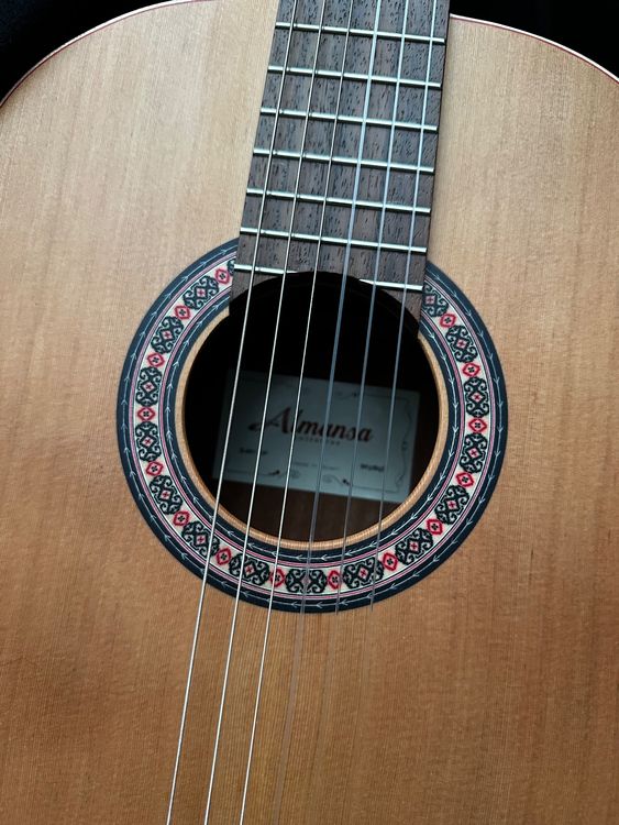 Neue Spanische Gitarre (Almansa) 4