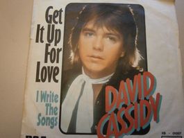 Vinyl-Single David Cassidy - I Write The Songs
