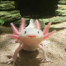 Profile image of jessrsc