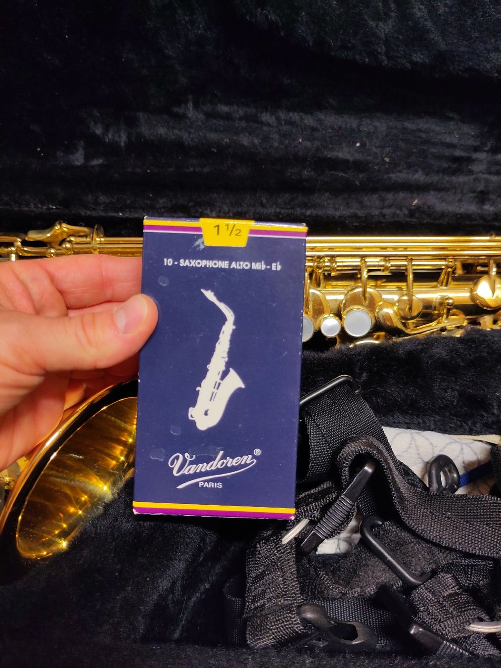 Yamaha Strumenti musicali: Alt Saxophon Yamaha – Usato da Bremgarten b. Bern venduto da amb_qv7s 6
