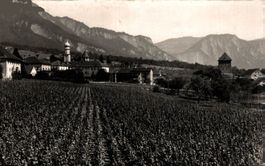 Maienfeld
