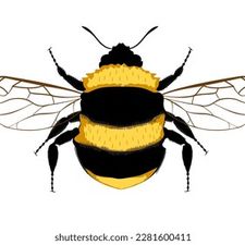 Profile image of Bombus01