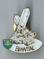 Binntal - Pin