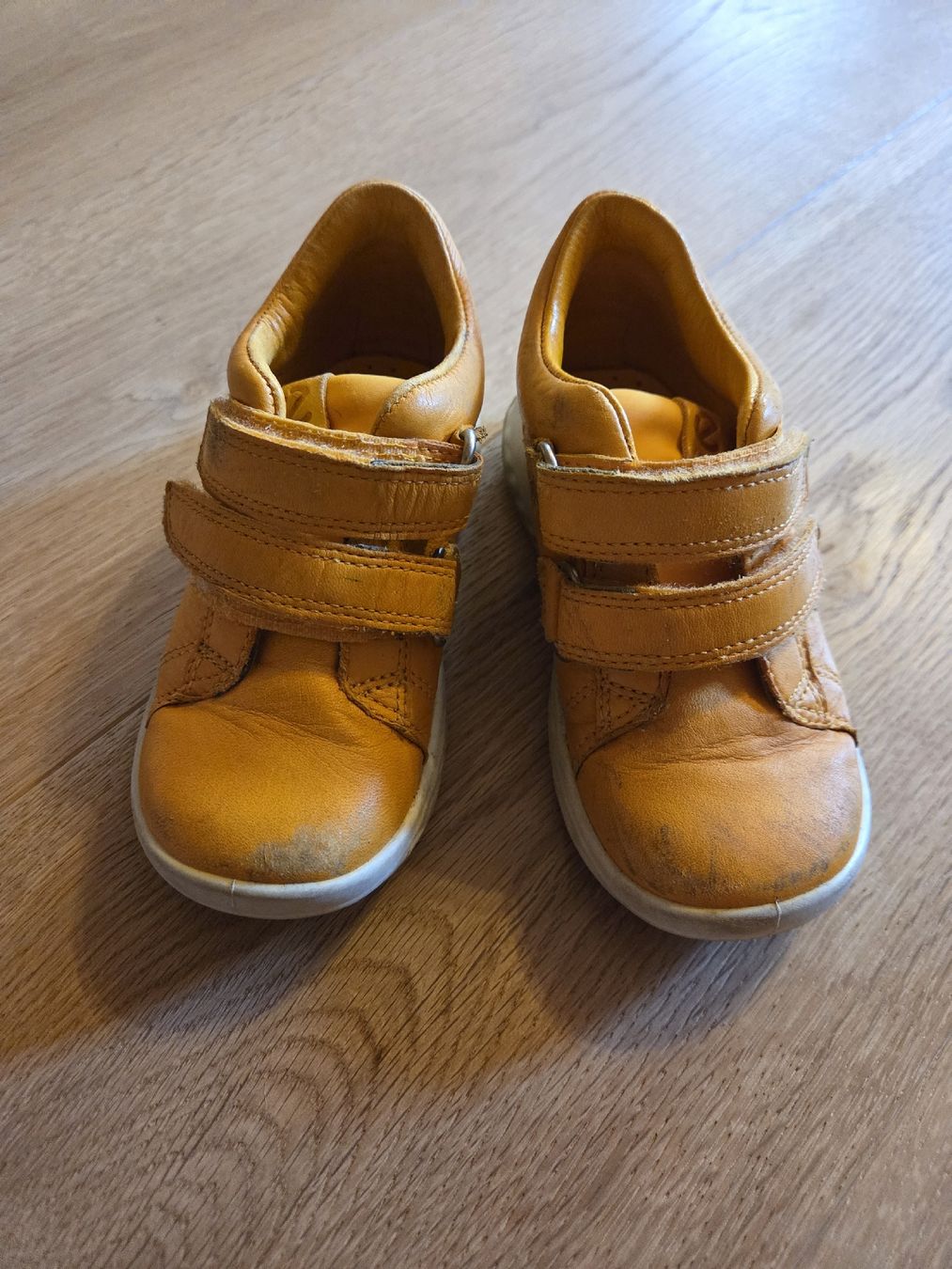 Ecco Scarpe per ragazzi: Lederschuhe von ecco Gr. 24 – Usato da Fraubrunnen venduto da amaree313