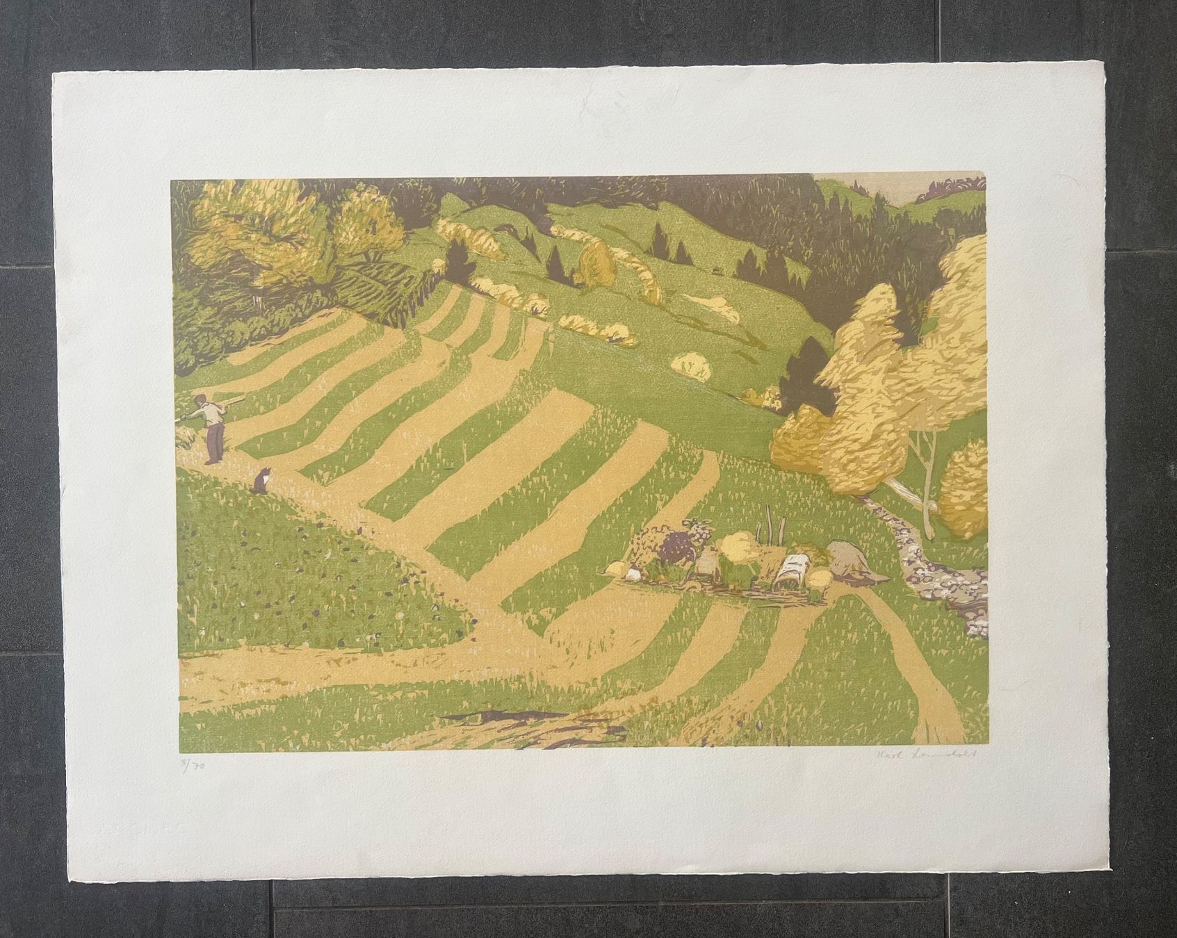 Grafica & Litografie: Karl Landolt, handsigniert und nummeriert – Usato da Rain venduto da Pic-Ass 1