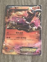Pokemon Fullart Holo / Houndoom EX XY8 009 / Hundemon