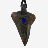 Mako Haifischzahn fossiliert mit eingefasstem Lapislazuli