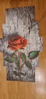 Schönes 5-teiliges Wandbild Rose für den Blickfang im Zimmer