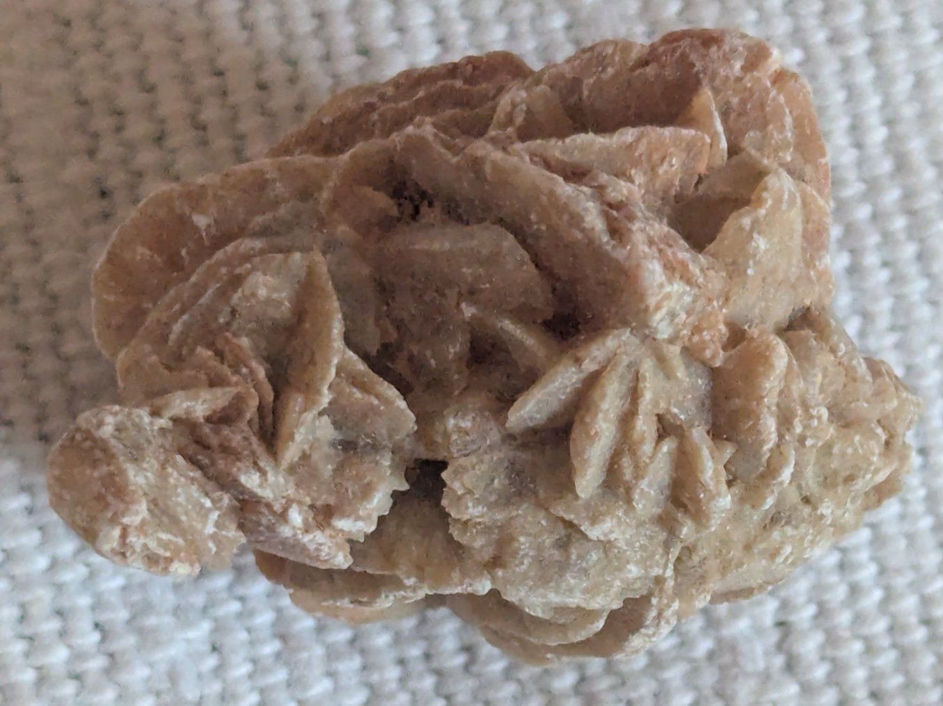Minerali & Pietre curative: Rose des sables naturelle – Usato da Lausanne venduto da Nchiva