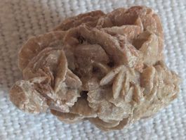Rose des sables naturelle