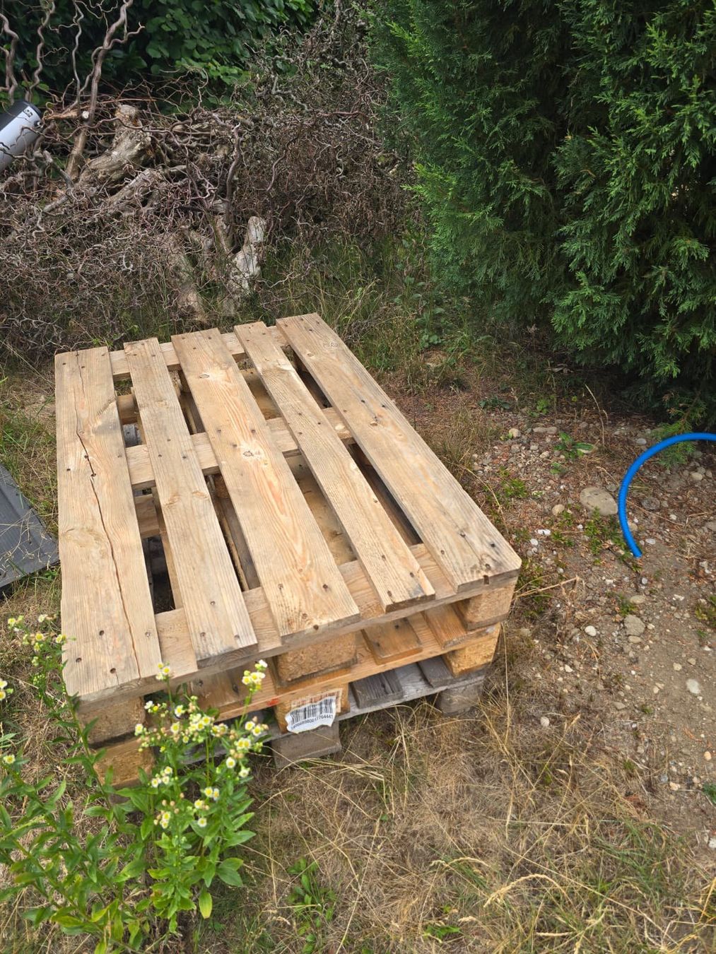 Palettes: 2 gebrauchte Holzpaletten / EPAL – D'occasion à Wiedlisbach par Philippe123 4