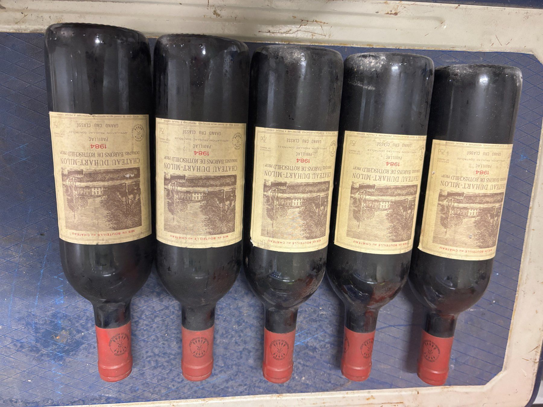 Mouton Rothschild Vino: Rotwein Rothschild – Usato da Gränichen venduto da RamoDie 1
