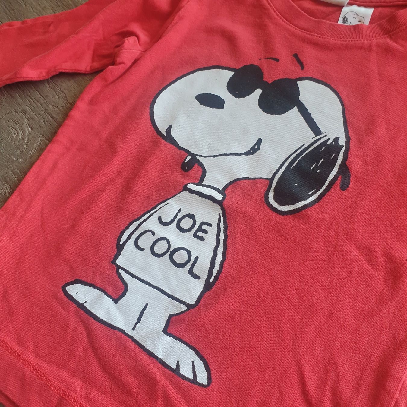 H&M Maglioni & Felpe: 🐸 SNOOPY PULLOVER "JOE COOL" 80 HUND – Usato da Môtier (Vully) venduto da Frogs 2