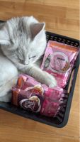 Nourriture pour chat Purina ONE Junior, neuf