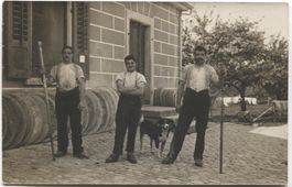 LANDWIRTSCHAFT/KASEREI 1910 mit Bläss SG/TG?