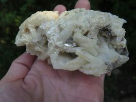 Muskovit auf Cleavelandit von Brasilien
