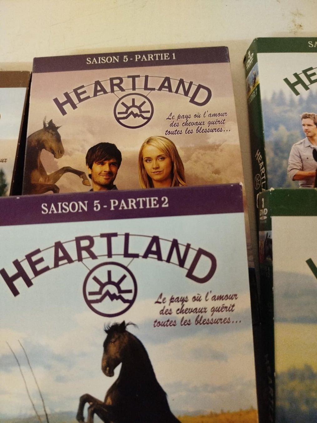 Tutti i DVDs: Dvd Heartland 1-8 – Usato da La Chaux-de-Fonds venduto da Emmaus2300CDF 6